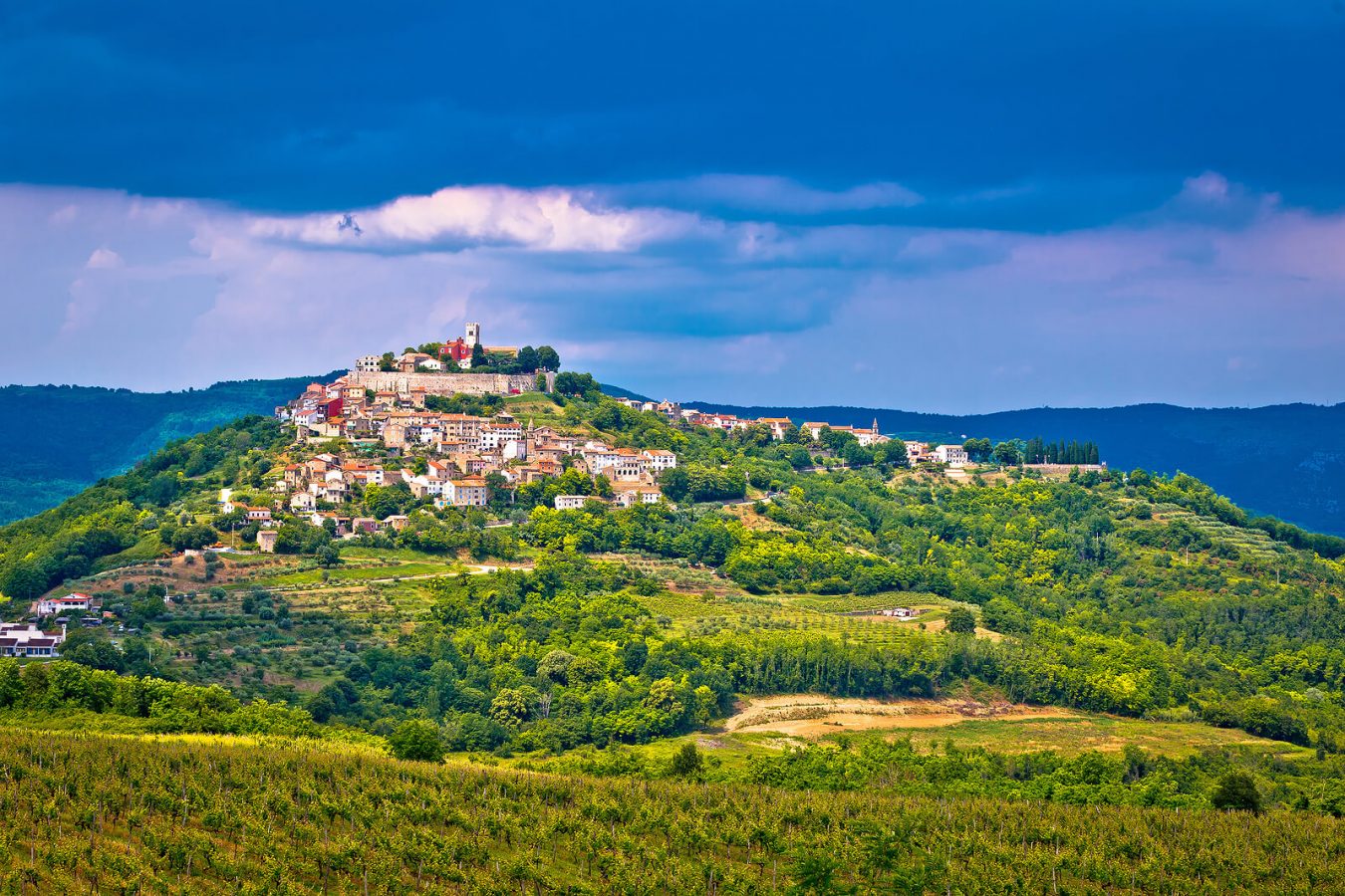 Motovun Istrië