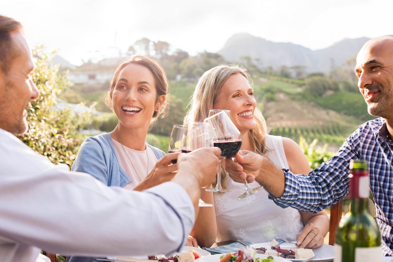 Happy friends toasting with wine at outdoor tasting in Istrian vineyard