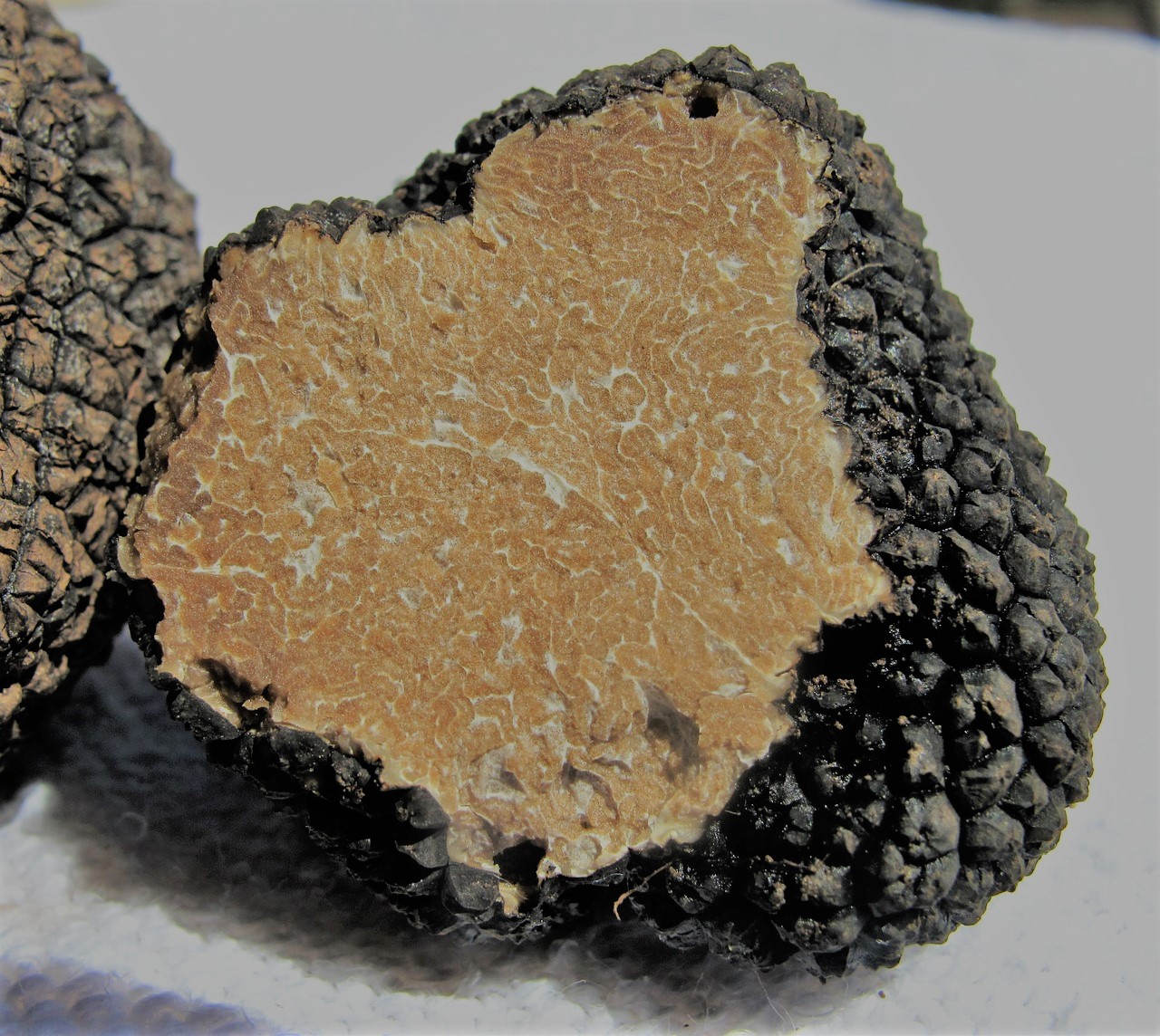 Black Istrian truffle