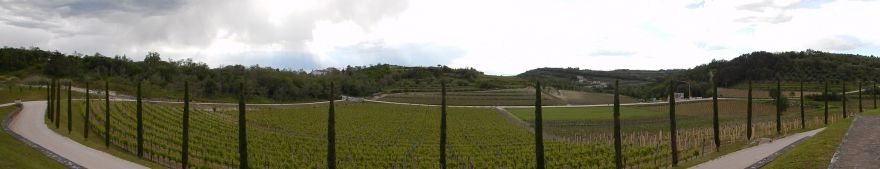 Kabola vingård