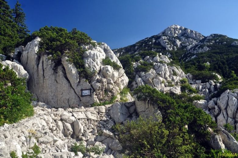 Premuzic Trail auf Velebit